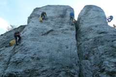 P3390669