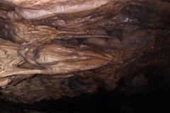 20210130_123115