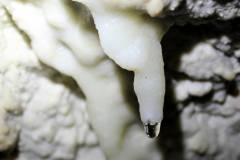 IMG_2019
