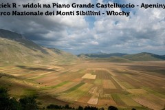 Maciek R - Widok na Piano Grande Castelluccio - Apeniny - Parco Nazionale dei Monti Sibillini - Włochy