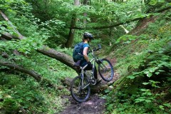 Joanna, wąwozy lessowe koło Szczebrzeszyna