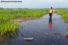 Joanna, Biebrzański Park Narodowy